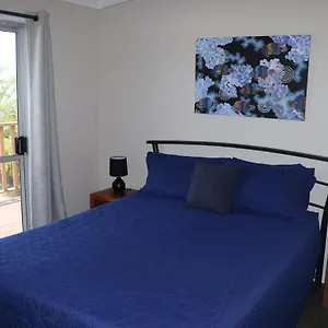  Hostal Pippies Beachhouse Backpackers